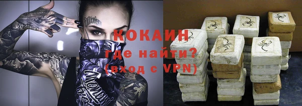 хмурый Арсеньев