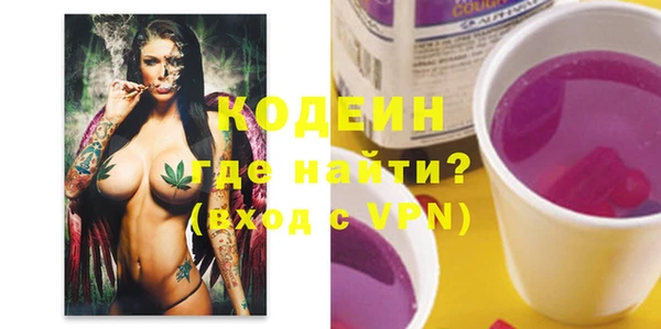 хмурый Арсеньев