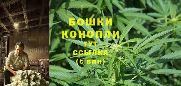 хмурый Арсеньев