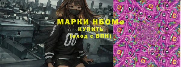 хмурый Арсеньев