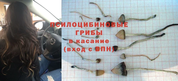 СК Армянск