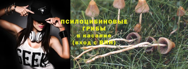 мет Аркадак