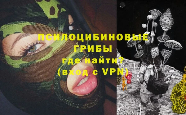 хмурый Арсеньев