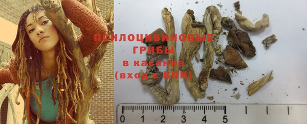 хмурый Арсеньев