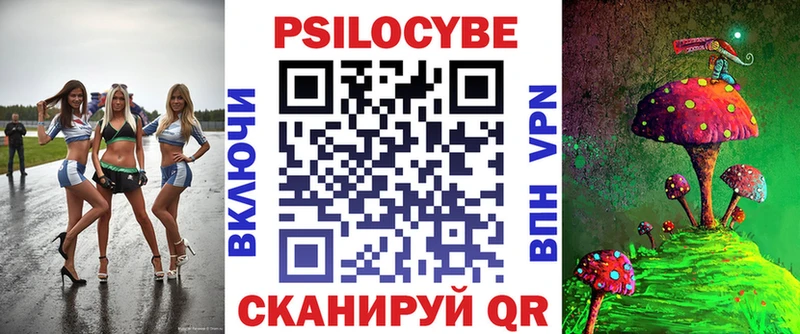 сколько стоит  Починок  Псилоцибиновые грибы MAGIC MUSHROOMS 