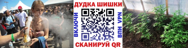 Канабис планчик  купить   Починок 